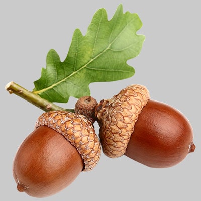 بازیابی از حادثه شرکت پویه‌گام