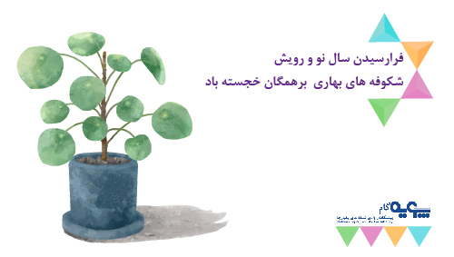 سال نو مبارک 15 سال نو